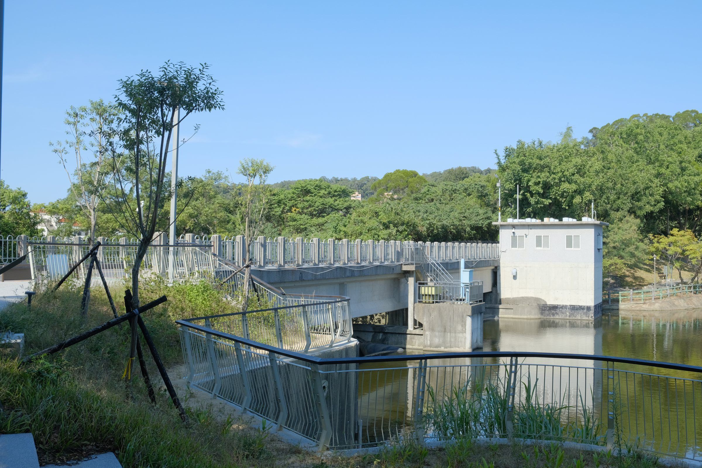 青草湖湖畔綠地與休憩空間