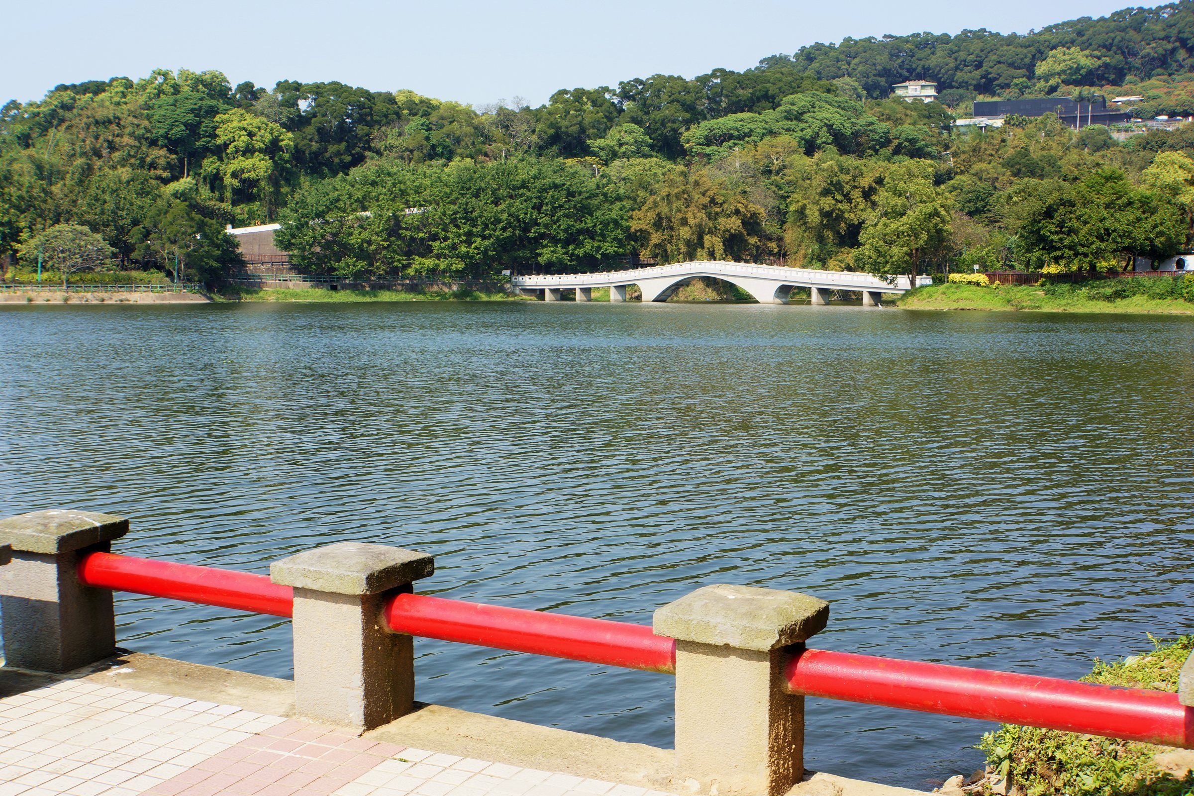 青草湖湖面全景與周邊綠意